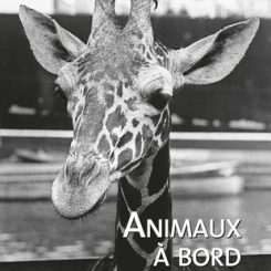 ANIMAUX A BORD