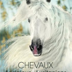 CHEVAUX ANDALOUS ET LUSITANIENS