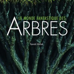 LE MONDE FANTASTIQUE DES ARBRES
