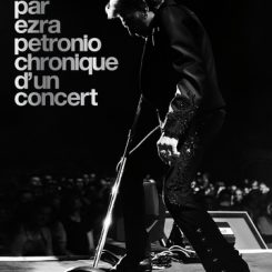 JOHNNY HALLYDAY CHRONIQUE D UN CONCERT