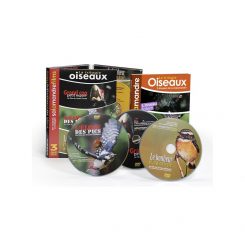 LA TRILOGIE OISEAUX