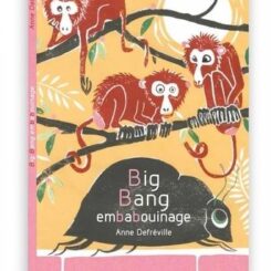 BIG BANG EMBABOUINAGE