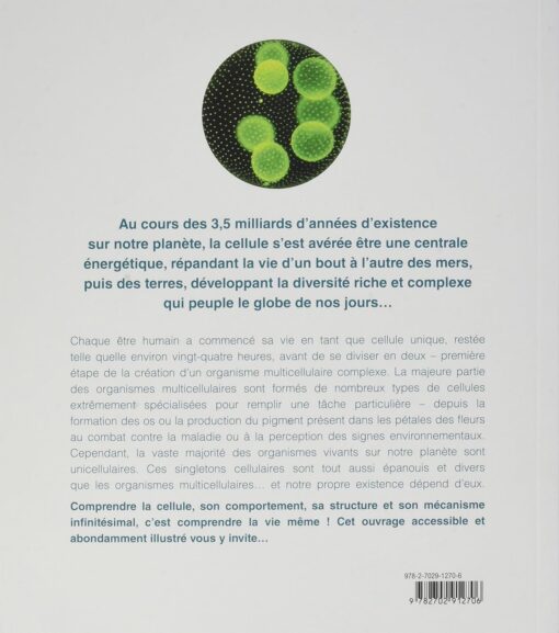 LA CELLULE – Image 2