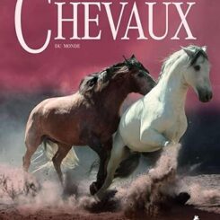 LES PLUS BEAUX CHEVAUX DU MONDE