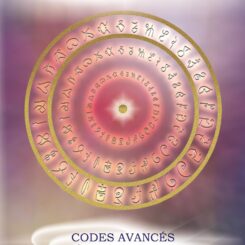 LETTRES DE FEU - CODES AVANCES ET IMPLEMENTATIONS QUANTIQUES