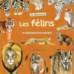 JE DECOUVRE LES FELINS EN DESSINANT ET EN COLORIANT