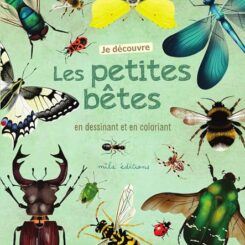 JE DECOUVRE LES PETITES BETES EN DESSINANT ET EN COLORIANT