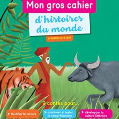 MON GROS CAHIER D'HISTOIRES DU MONDE