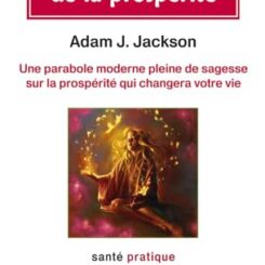 LES DIX SECRETS DE LA PROSPERITE - UNE PARABOLE MODERNE PLEINE DE SAGESSE SUR LA PROSPERITE QUI CHAN