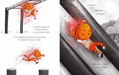 UNE COLERE DE TIGRE – Image 3