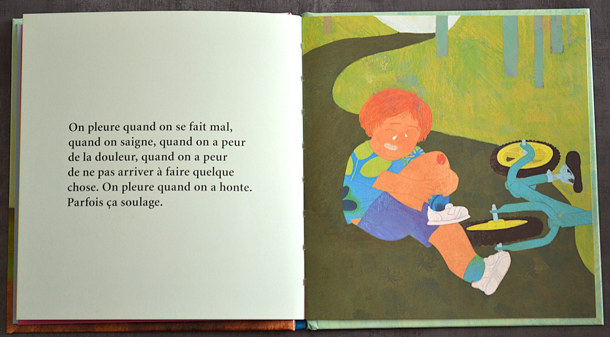 POURQUOI TU PLEURES ? – Image 3