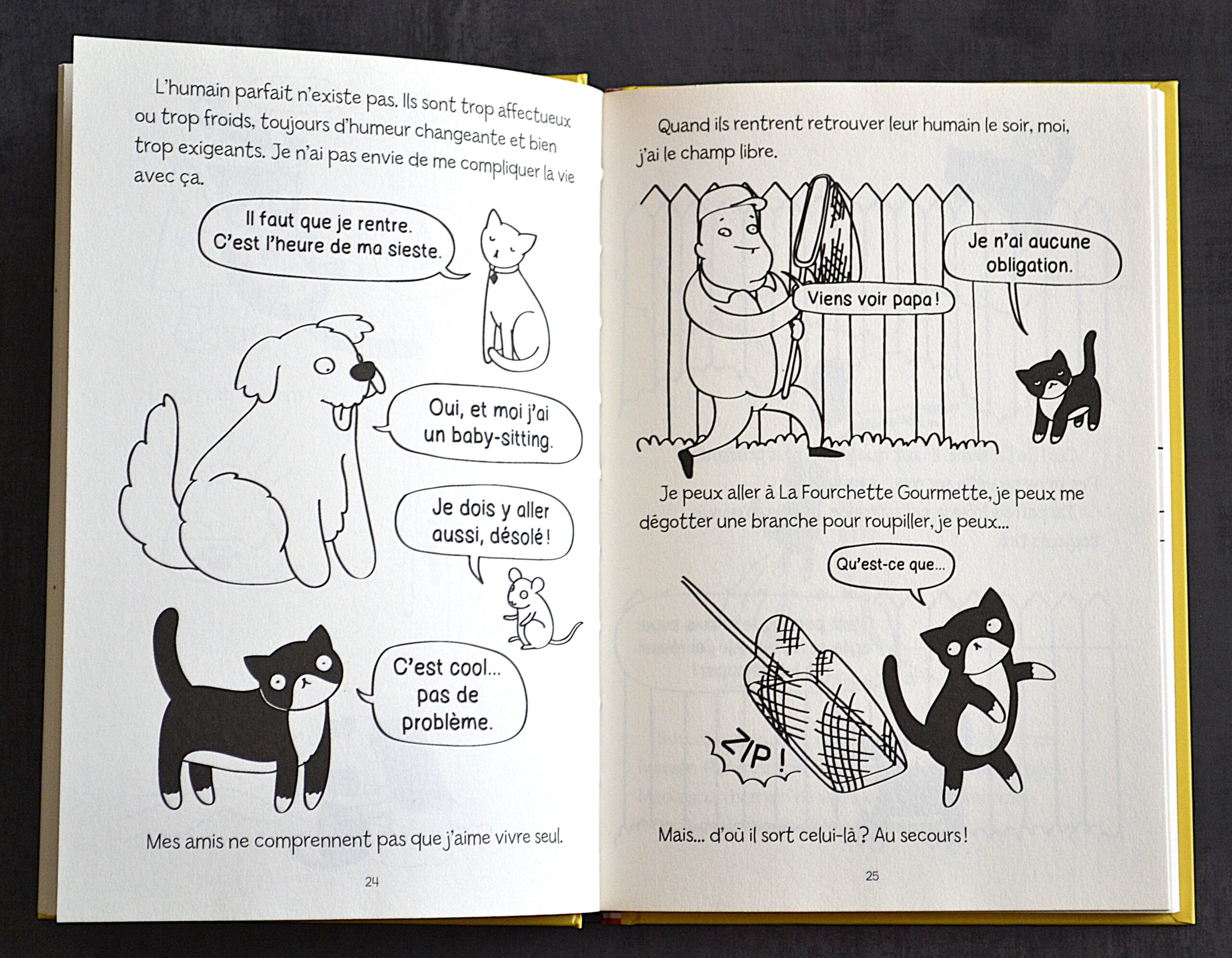 OLIVE LE CHAT, COMMENT J'AI ADOPTE MON HUMAIN – Image 2