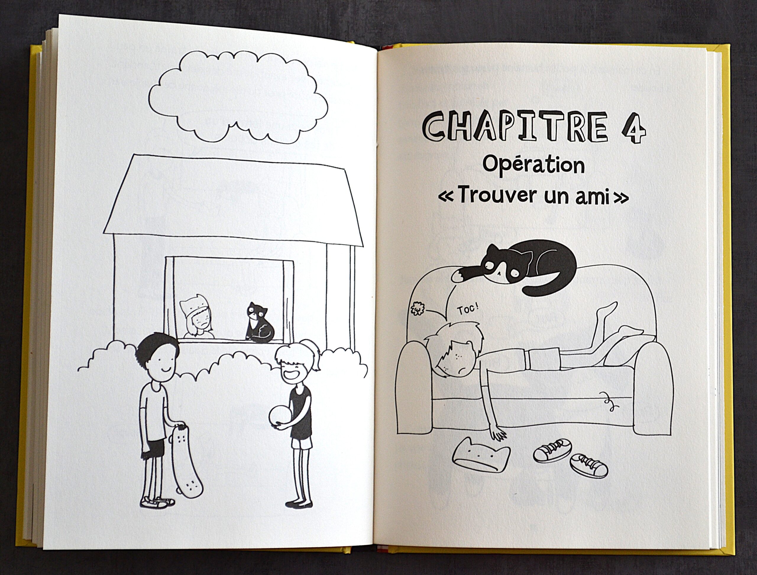 OLIVE LE CHAT, COMMENT J'AI ADOPTE MON HUMAIN – Image 3