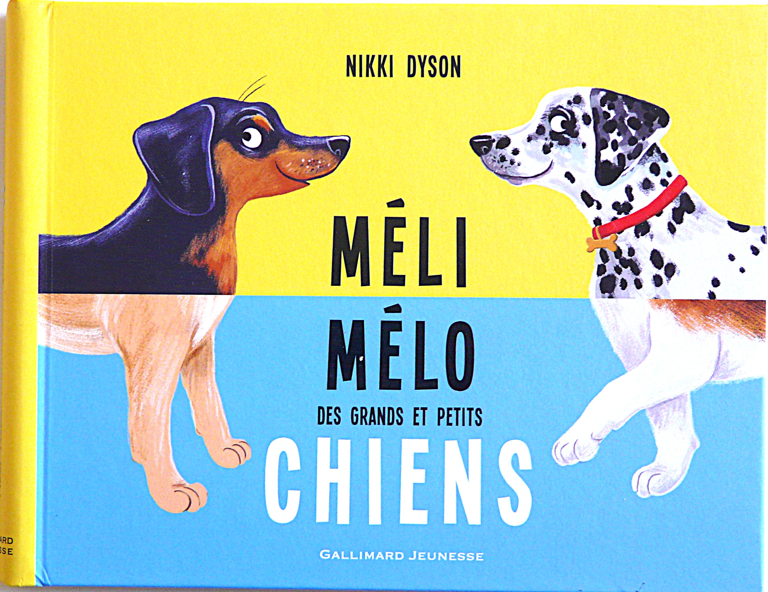 MELI MELO DES GRANDS ET PETITS CHIENS