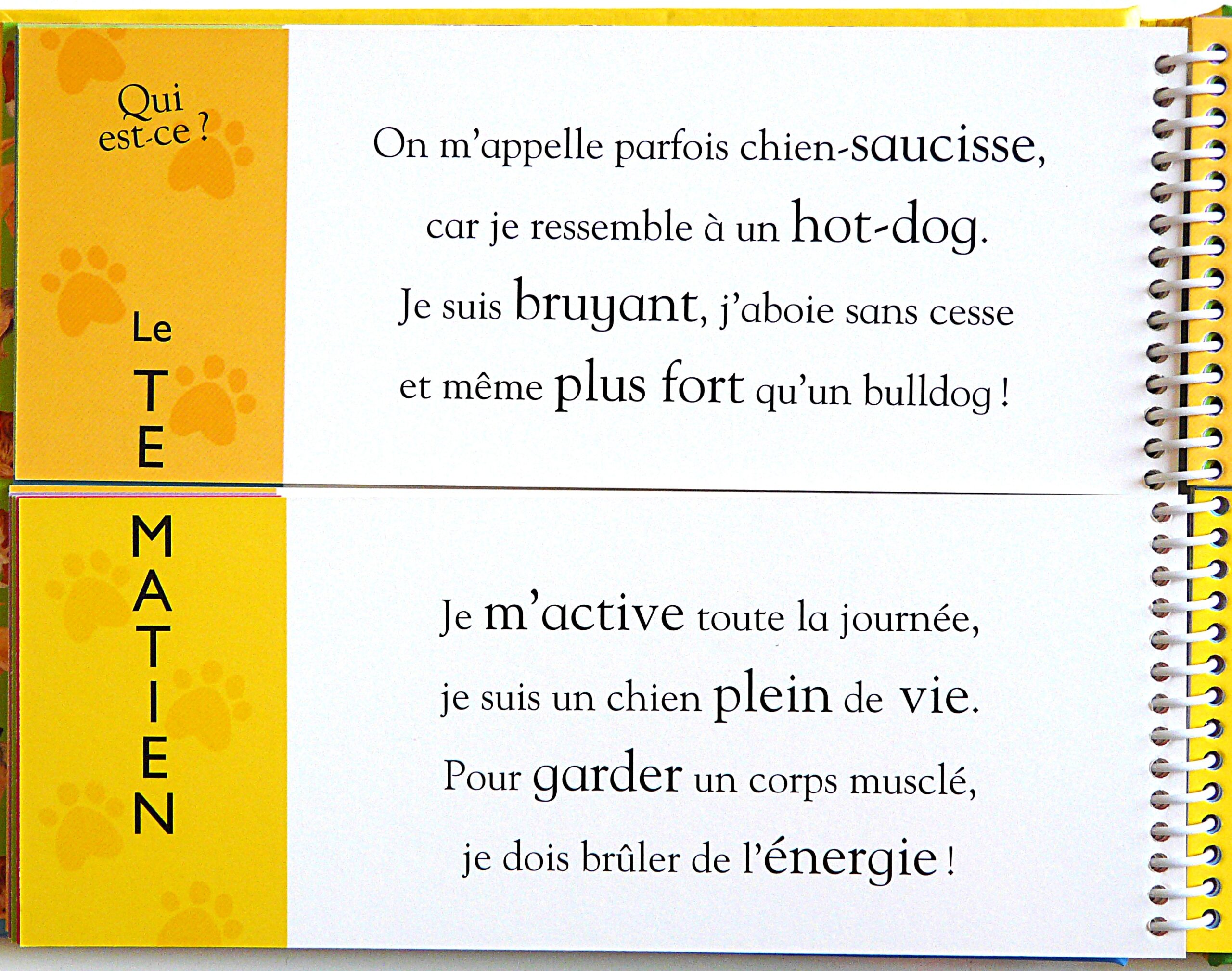MELI MELO DES GRANDS ET PETITS CHIENS – Image 2