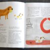 P'TIT CHIEN - LE SEUL, L'UNIQUE ! – Image 2