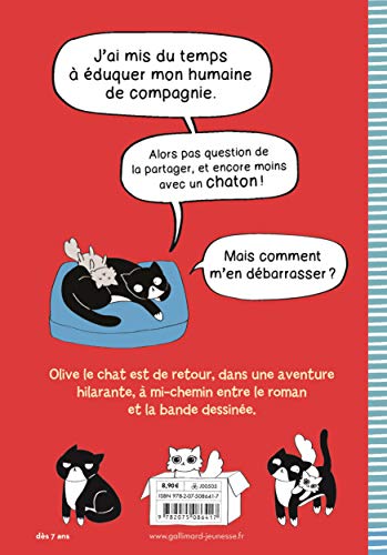 OLIVE LE CHAT FAIT SON NUMERO – Image 4
