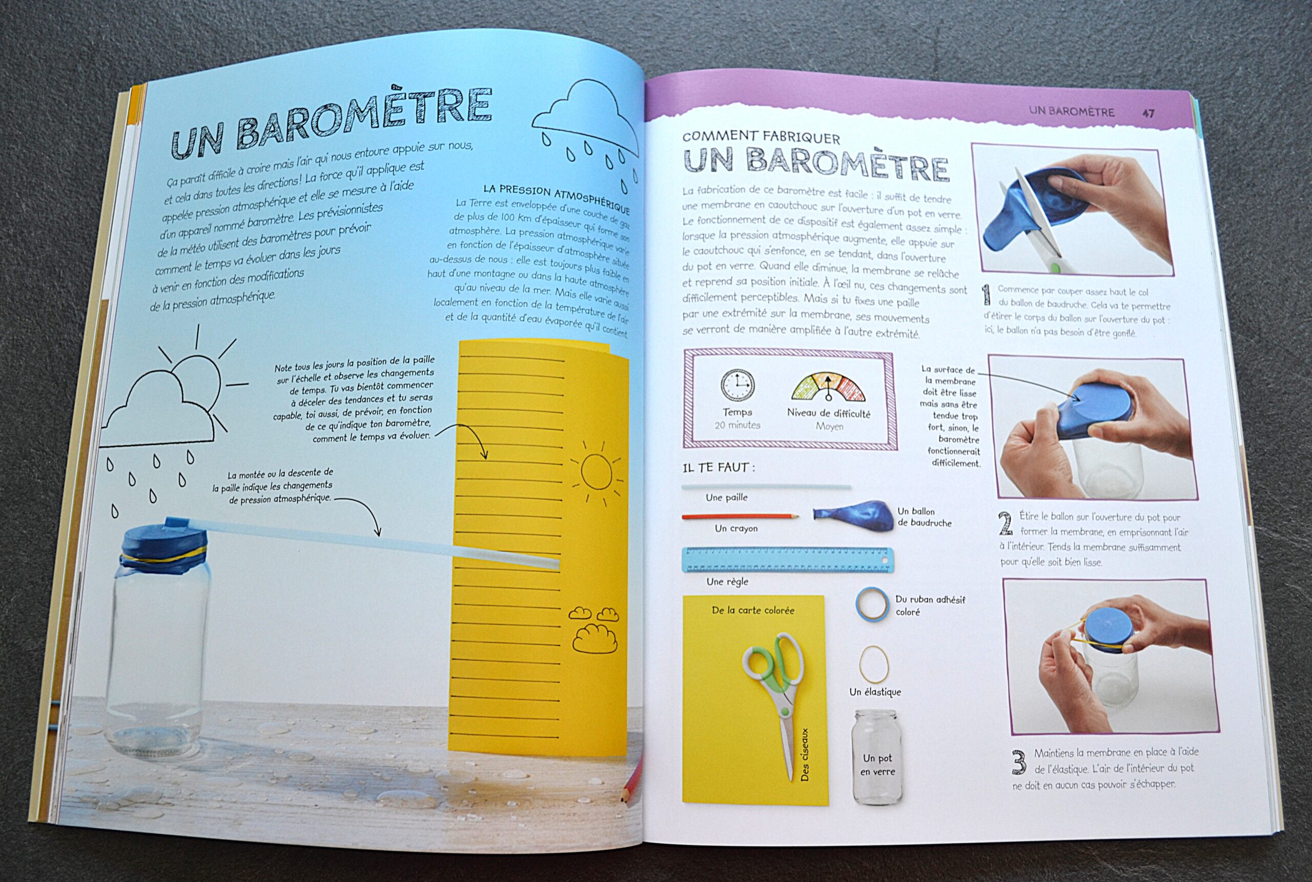 UN LABO DANS TON JARDIN – Image 2
