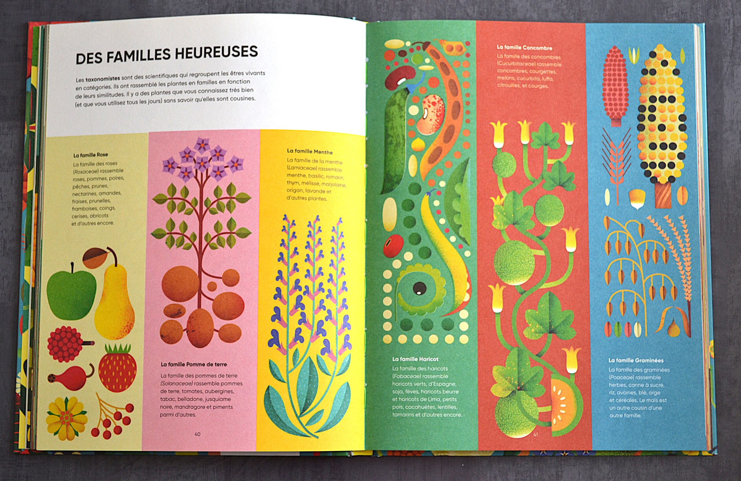 MERCI LES PLANTES ! UNE CELEBRATION HAUTE EN COULEUR DU MONDE VEGETAL – Image 2