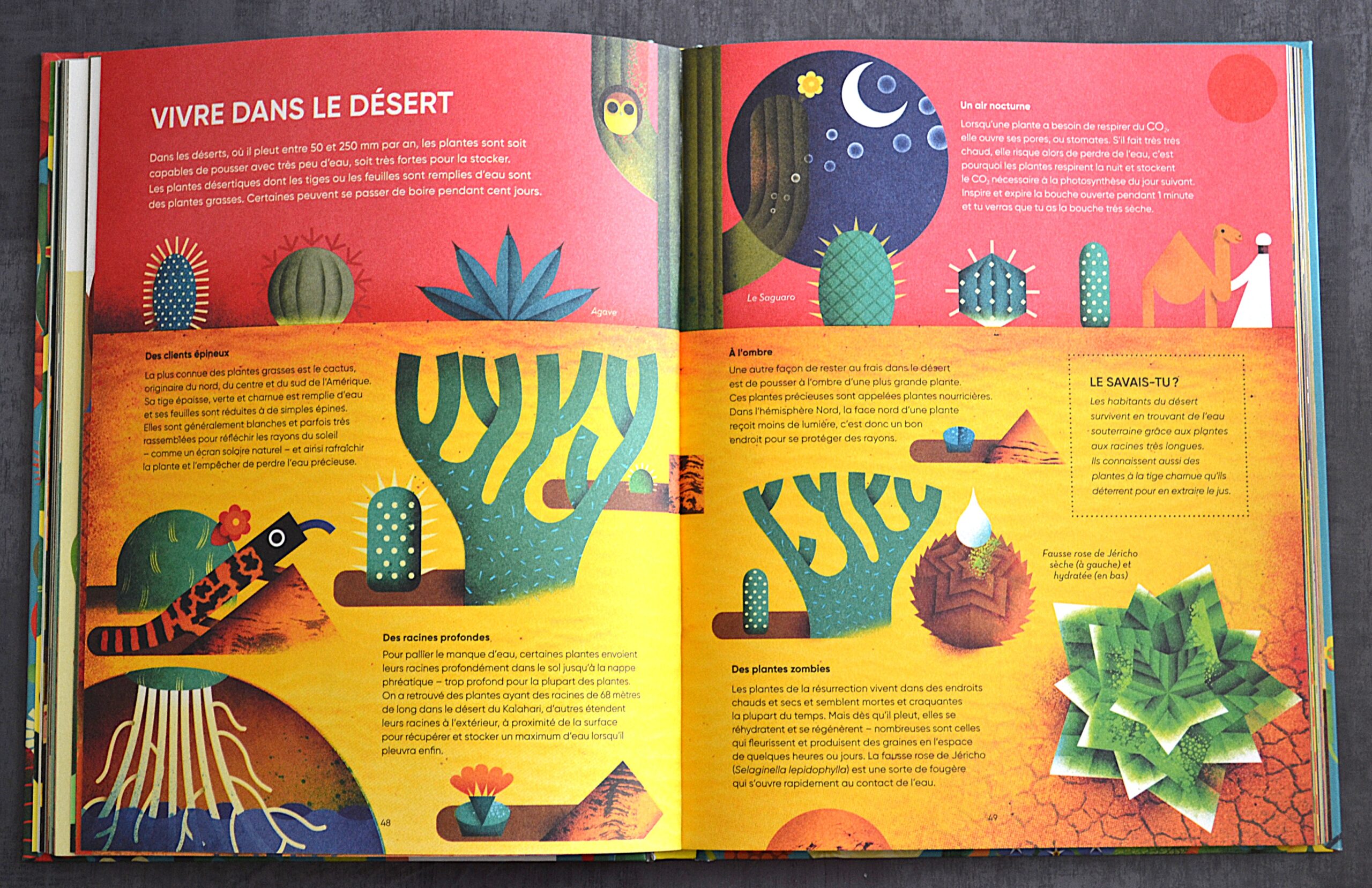 MERCI LES PLANTES ! UNE CELEBRATION HAUTE EN COULEUR DU MONDE VEGETAL – Image 3
