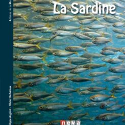 LA SARDINE
