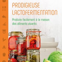 PRODIGIEUSE LACTOFERMENTATION - PRODUIRE FACILEMENT A LA MAISON DES ALIMENTS VIVANTS