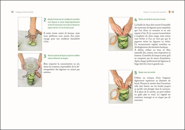 PRODIGIEUSE LACTOFERMENTATION - PRODUIRE FACILEMENT A LA MAISON DES ALIMENTS VIVANTS – Image 2