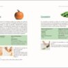 PRODIGIEUSE LACTOFERMENTATION - PRODUIRE FACILEMENT A LA MAISON DES ALIMENTS VIVANTS – Image 3