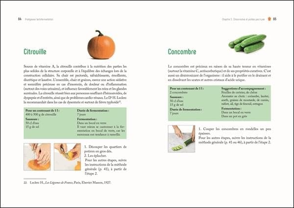 PRODIGIEUSE LACTOFERMENTATION - PRODUIRE FACILEMENT A LA MAISON DES ALIMENTS VIVANTS – Image 3