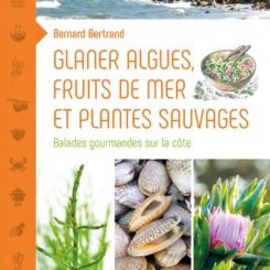 GLANER ALGUES, FRUITS DE MER ET PLANTES SAUVAGES