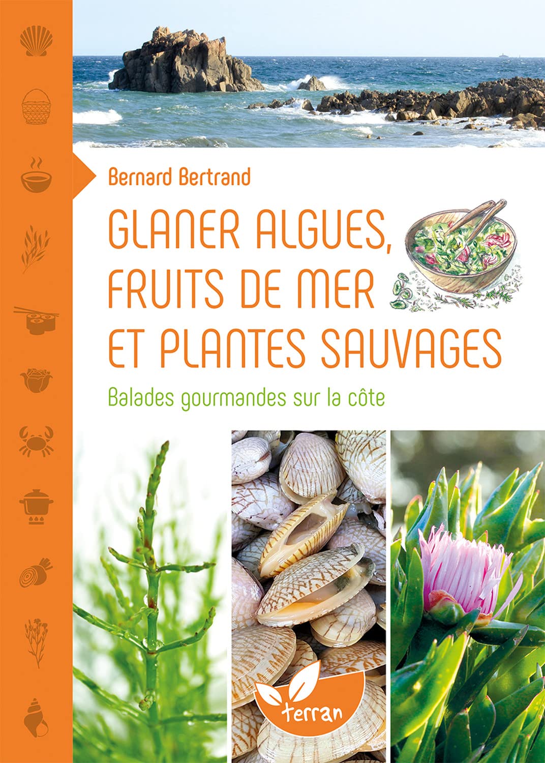 GLANER ALGUES, FRUITS DE MER ET PLANTES SAUVAGES