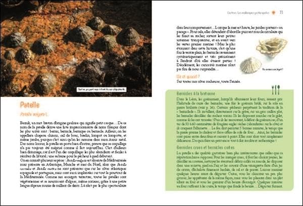GLANER ALGUES, FRUITS DE MER ET PLANTES SAUVAGES – Image 3