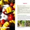 LA PERMACULTURE AU JARDIN MOIS PAR MOIS – Image 2