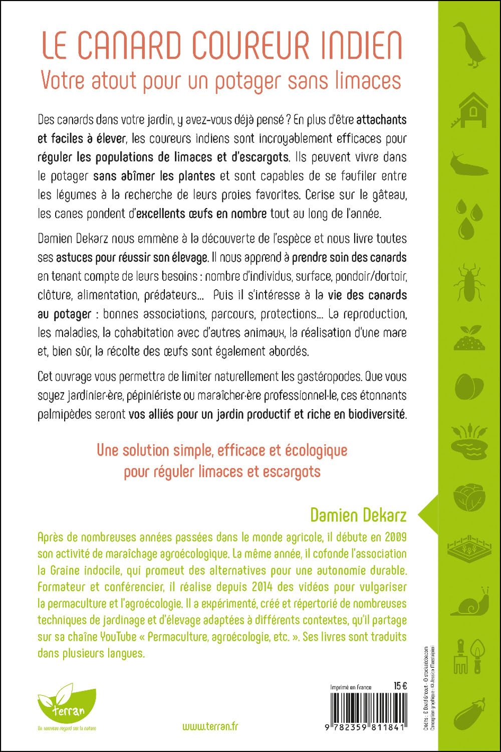 LE CANARD COUREUR INDIEN - VOTRE ATOUT POUR UN POTAGER SANS LIMACES – Image 2