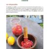 CREEZ VOTRE PEINTURE VEGETALE – Image 2