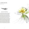 ELOGE DES INDISCIPLINEES - IL N'Y A PAS DE MAUVAISES PLANTES – Image 3