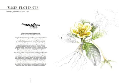 ELOGE DES INDISCIPLINEES - IL N'Y A PAS DE MAUVAISES PLANTES – Image 3