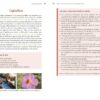 REUSSIR SON AUTONOMIE AVEC LES PRINCIPES DE LA PERMACULTURE – Image 2