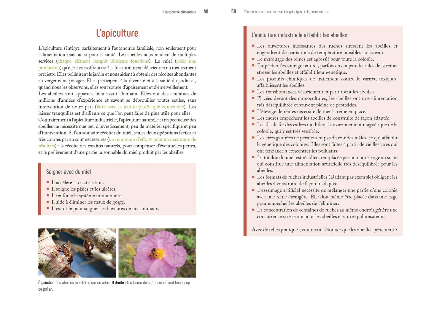 REUSSIR SON AUTONOMIE AVEC LES PRINCIPES DE LA PERMACULTURE – Image 2