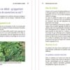 GUIDE DES ENGRAIS VERTS AU JARDIN – Image 3
