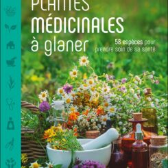 PLANTES MEDICINALES A GLANER  58 ESPECES POUR PRENDRE SOIN DE SA SANTE