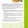 LE POTAGER RESILIENT - CONCEVOIR UN JARDIN NOURRICIER – Image 2