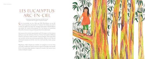 FANTAISIES NATURELLES – Image 2