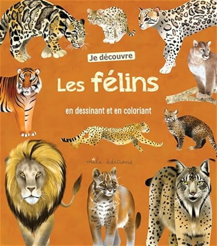 JE DECOUVRE LES FELINS EN DESSINANT ET EN COLORIANT