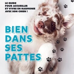 BIEN DANS SES PATTES - LE GUIDE POUR ACCUEILLIR ET VIVRE EN HARMONIE AVEC SON CHIEN !