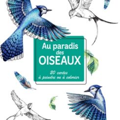 MON CARNET CREATIF - AU PARADIS DES OISEAUX - 20 CARTES A PEINDRE OU A COLORIER