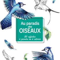 MES AFFICHES CREATIVES AU PARADIS DES OISEAUX