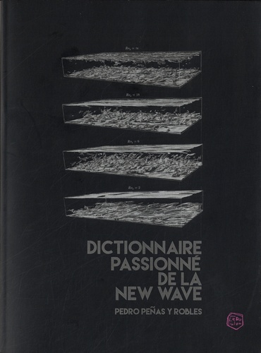 DICTIONNAIRE PASSIONNE DE LA NEW WAVE