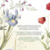 LA MAGIE DES SAISONS – Image 2