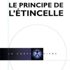 PRINCIPE DE L'ETINCELLE